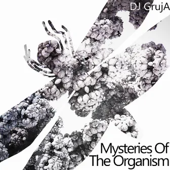 Mysteries of the Organism by DJ GrujA