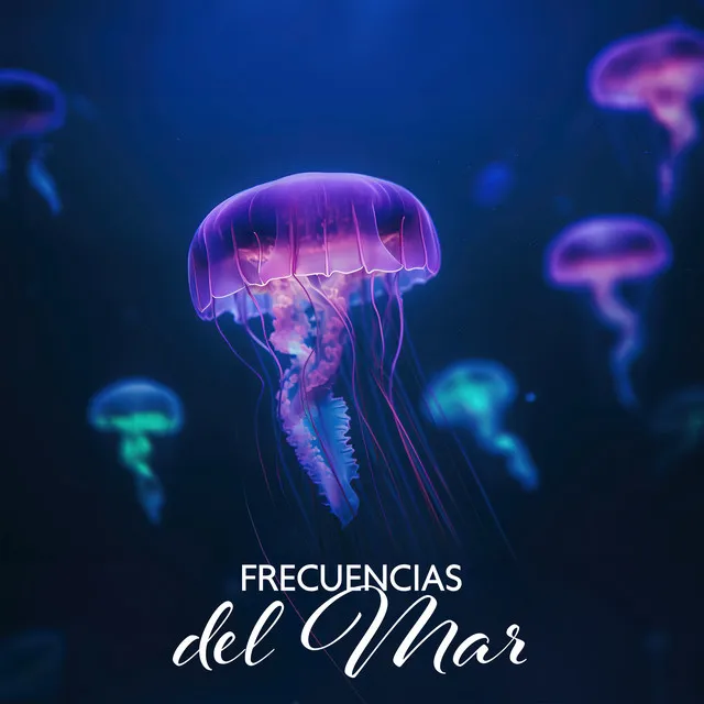 Frecuencias del Mar: Baño de Sonido con Todas las 9 Frecuencias Solfeggio