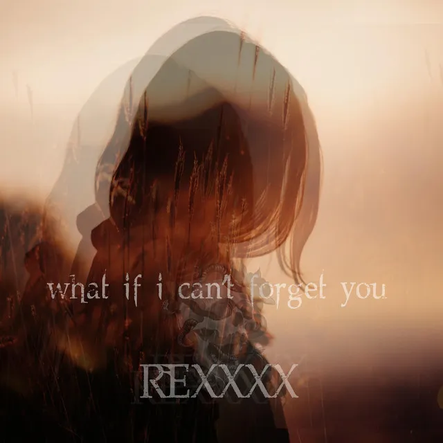 What If I Can't Forget You?