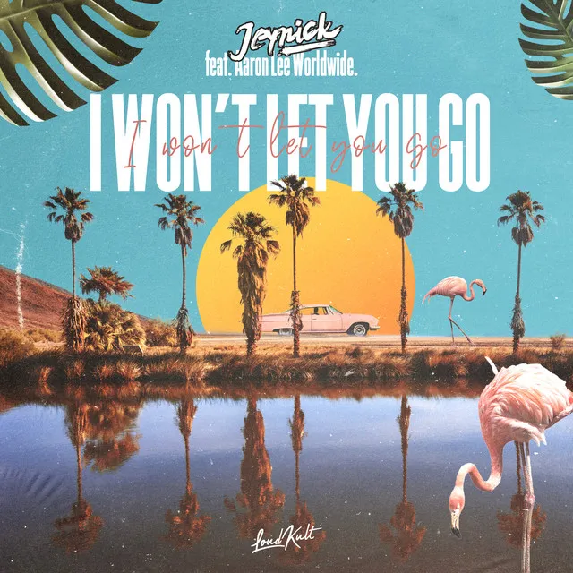 I Won't Let You Go (feat. Aaron Lee Worldwide)