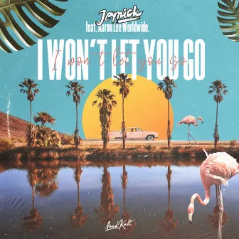 I Won't Let You Go (feat. Aaron Lee Worldwide) by Jeynick