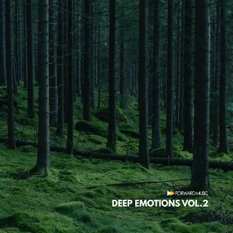 Deep Emotions, Vol. 2 by MATE 0000