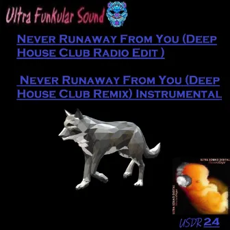 Never Runaway From You (Deep House Club Radio Edit & Instrumental) by Ultra Funkular Sound