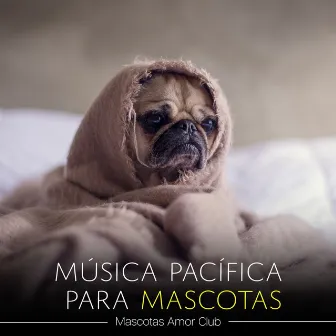 Música Pacífica para Mascotas by Mascotas Amor Club