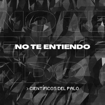 No Te Entiendo by Científicos del Palo