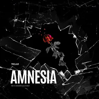 Amnesia by 