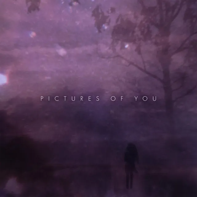 Pictures of You