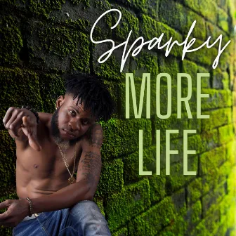 More Life by Sparky