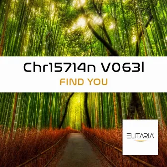 Find you by Chr15714n V063l