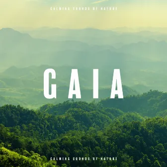 Gaia: Calming Sounds of Nature by Robin Gardner