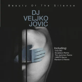 Beauty Of The Silence by DJ Veljko Jovic