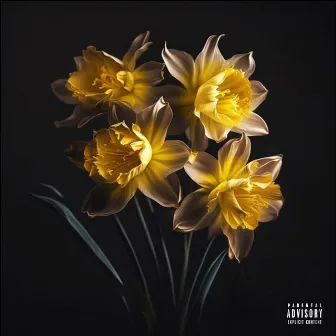 Daffodils by S.A.M. GoHard