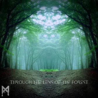 Through the Lens of the Forest by Mfinity