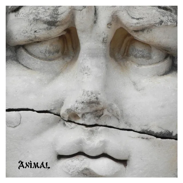 Animal - Drift Mix