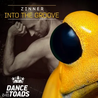 Into The Groove by Zinner