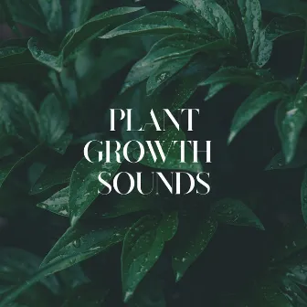 Plant Growth Sounds by Music for Plants