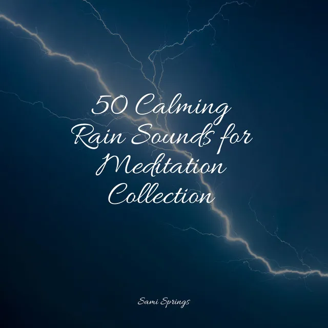 50 Calming Rain Sounds for Meditation Collection