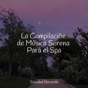 La Compilación de Música Serena Para el Spa by Lluvia