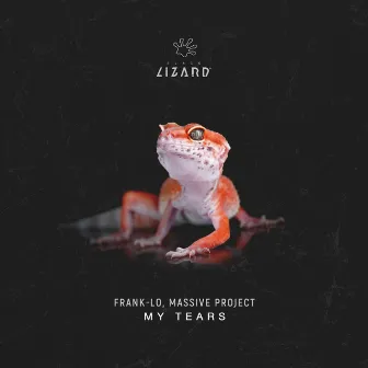 My Tears by Massive Project