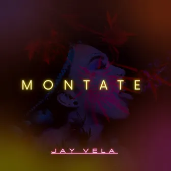 Montate by Jay Vela