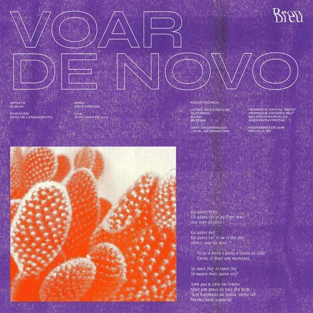 Voar de Novo