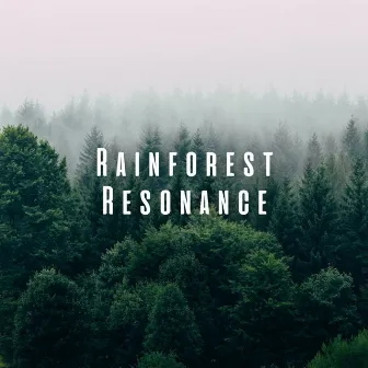 Rainforest Resonance: Forest Rain for Mindful Relaxation by Nature Label