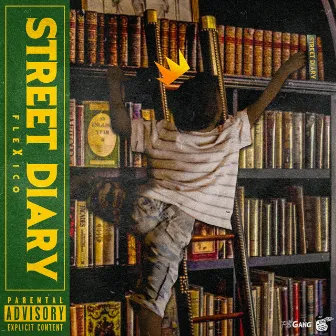 Street Diary by FleXico