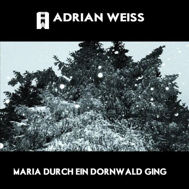 Maria Durch Ein Dornwald Ging