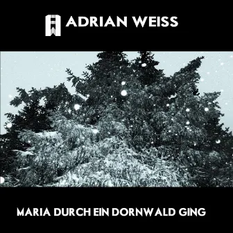 Maria Durch Ein Dornwald Ging by Adrian Weiss