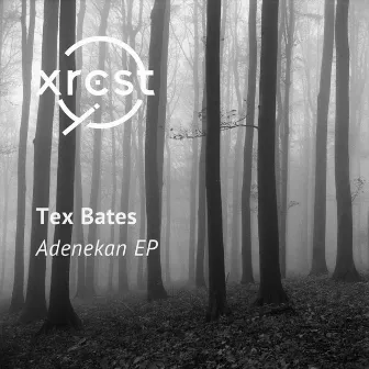 Adenekan EP by Tex Bates