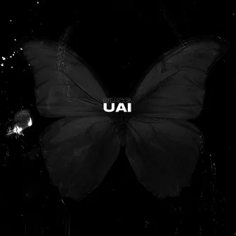 Uai by Nusg