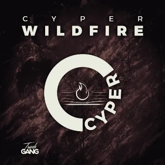 Wildfire by Cyper Sound