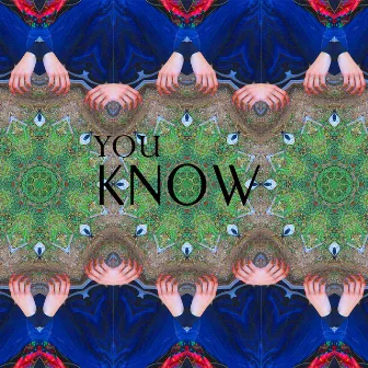 You Know - Single by Physfern