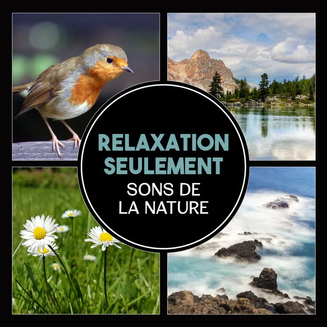 Relaxation seulement – Sons de la nature, Cascade, pluie, oiseaux et vagues pour un calme total et la régénération