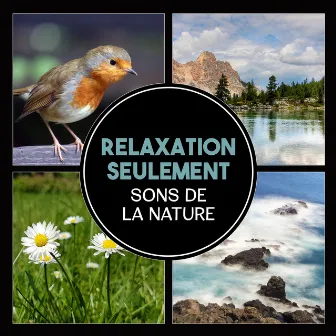 Relaxation seulement – Sons de la nature, Cascade, pluie, oiseaux et vagues pour un calme total et la régénération by Oasis Des Bruits Naturels