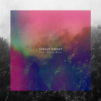 Never Really Knew by Simian Ghost