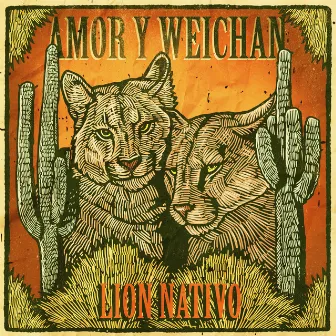 Amor y Weichan by Lion Nativo