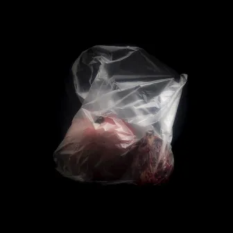 Heart in a Plastic Bag by Garbanotas