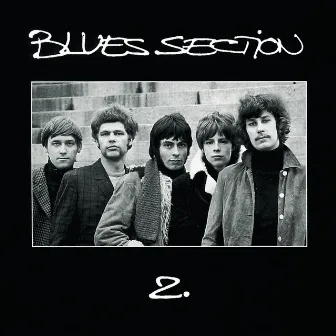 2 by Blues Section