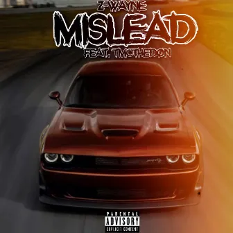 Mislead by Z-Wayne