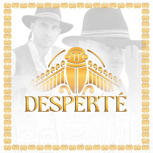 Desperté