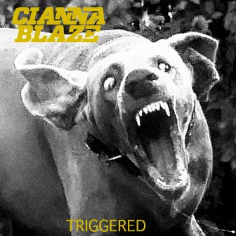 Triggered by Cianna Blaze