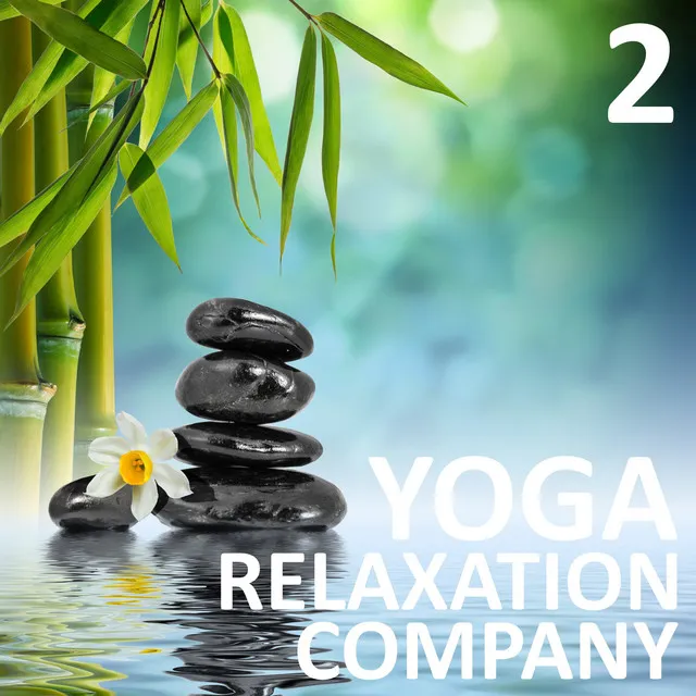 Yoga Relaxation Company, Vol. 2