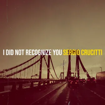 I Did Not Recognize You by Sergio Crucitti