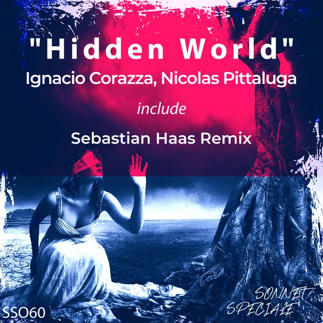 Hidden World - Sebastian Haas Remix