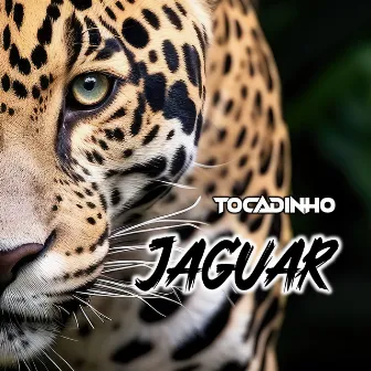 Jaguar by Tocadinho