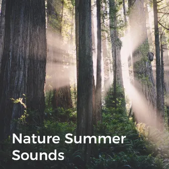 Nature Summer Sounds (Relaxing Day in the Forest) by Island Nature Sounds