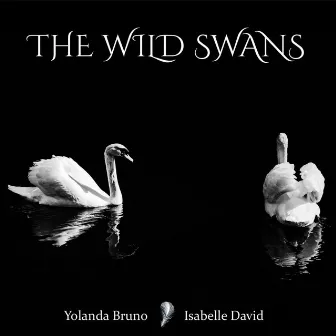 The Wild Swans by Isabelle David