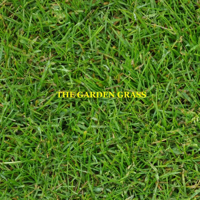 The Garden Grass