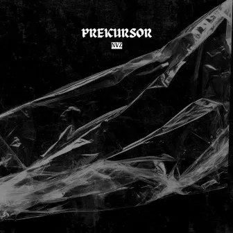 Prekursor by Nvz